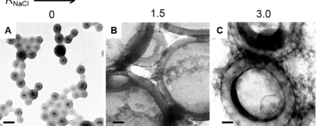 Figure 5. Effect of added salt content on self-assembly of PS/PMAA-CdS nanoparticles in THF/water mixtures