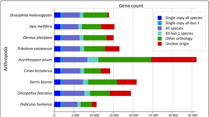 Fig. 2 Orthology comparison between Gerris buenoi and other arthropod species. Genome proteins were clustered with proteins of other 12 arthropod species based on OrthoDB orthology