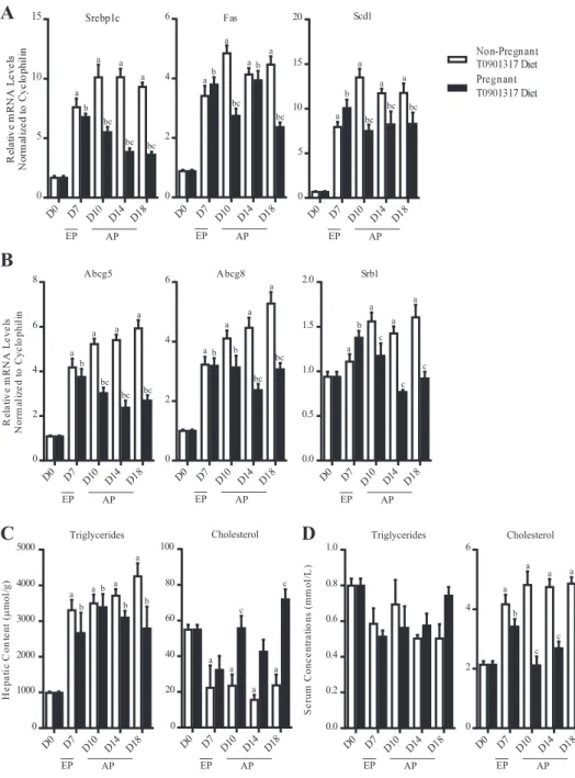 Fig. 2. Pharmacological activation of LXR mimics early-pregnancy lipogenesis in mice.