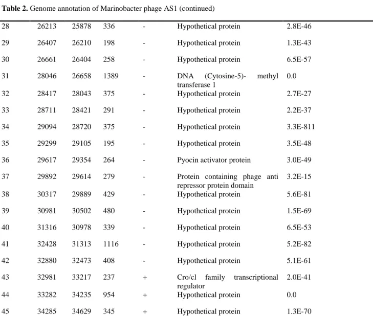 Table 2. Genome annotation of Marinobacter phage AS1 (continued) 