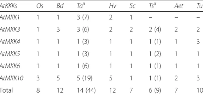 Table 2 Number of Triticeae genes orthologous to Arabidopsis (At), rice (Os) [3, 18], Brachypodium (Bd) MKKs [11] identified from the genomic database (Ensembl Plants) for wheat (Ta), barley (Hv), A