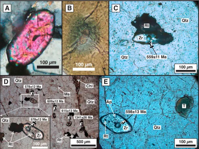 Figure 4. Optical micrographs of petrographic features supporting a zircon magmatic origin