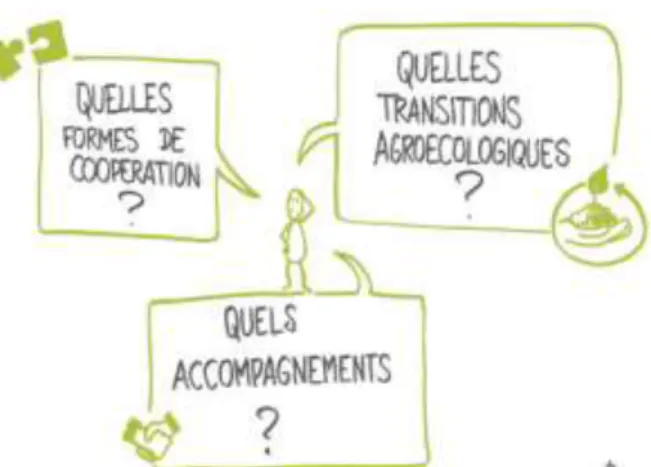 Figure  1 :  Les  questionnements  à  l'origine  du  projet  CAP VERT (Source : Pignal, Blondel, Boulet, 2017)