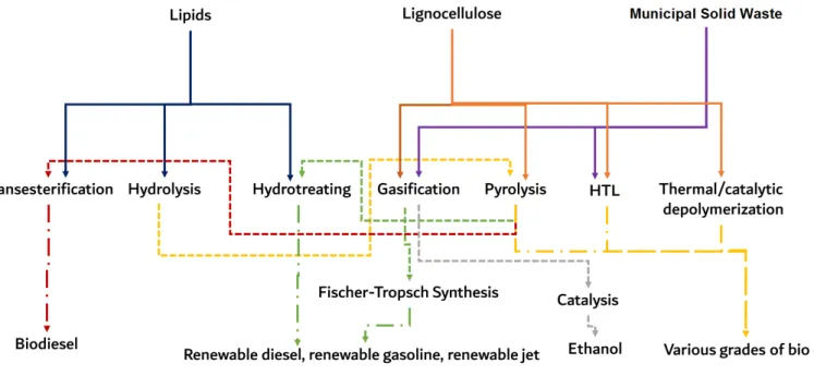 Fig. 6. Overview of simplified, predominant thermochemical and chemical process pathways for production of various liquid biofuels.