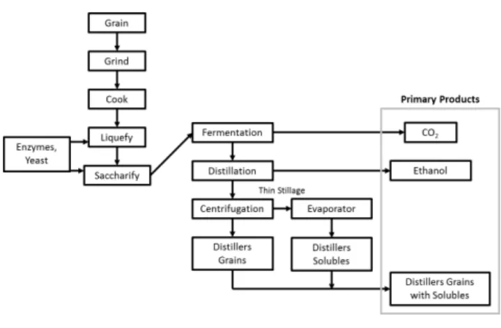 Table 4. Average composition of corn and wheat grain, with their respective distillers grains  with solubles*.