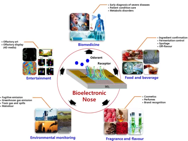 Figure 5. Applications of bioelectronic nose in the areas of biomedicine, food and beverage, fragrance  and flavour, environmental monitoring and entertainment