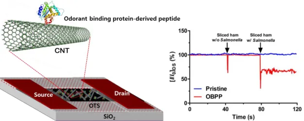Figure  6.  Schematic  diagram  of  a  bioelectronic  nose  using  carbon  nanotube  field-effect  transistor  functionalized  with  odorant  binding  protein-derived  peptides  (Left  panel)