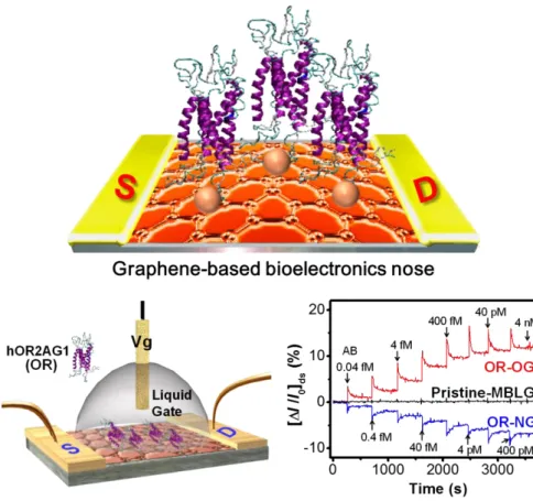 Figure  2.  Schematic  diagram  of  a  liquid-ion-gated  FET  bioelectronic  nose  using  OR-conjugated  modified bilayer graphene (MBLG) [14]