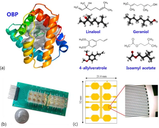 Figure  4.  The  structure  of  Acer-ASP2  and  interdigitated  electrodes  for  impedance  detection