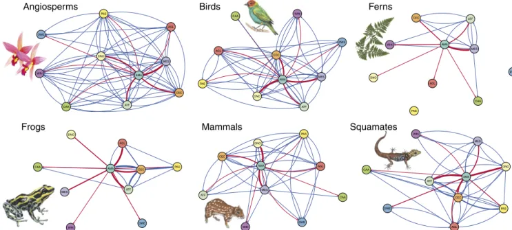 Fig. 3. Clade-specific lineage interchange among Neotropical regions, using the same color scheme and methodology as in Fig