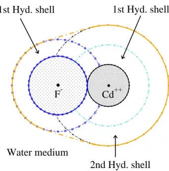 FIG. 2. (On line colour) A schematic diagram of the (Cd-F) + ion-pair together with the hydration shells of the Cd 2+ ion and the F − ion prior to pairing