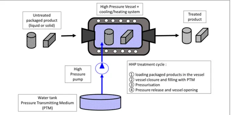 FIGURE 1 | Schematic layout for a High Hydrostatic Pressure (HHP) treatment pilot.