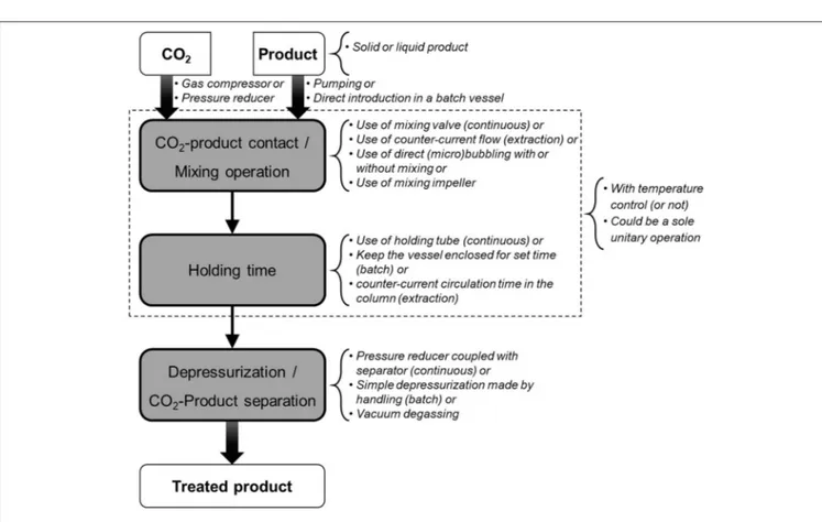 FIGURE 3 | Steps and technical characteristics of CO 2 treatments reported in Table 1.