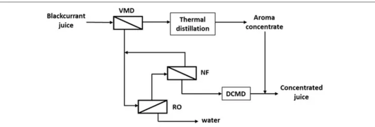 FIGURE 6 | Schematic process layout for concentration of blackcurrant juice based on membrane processes (VMD, vacuum membrane distillation; RO, reverse osmosis; NF, nanofiltration; DCMD, direct contact membrane distillation) adapted from Sotoft et al