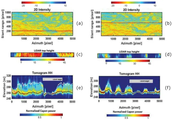 Figure 3.5 – (a,b) The 2-D intensity of the TomoSAR image; the red lines correspond to the slant range positions where the cut was chosen