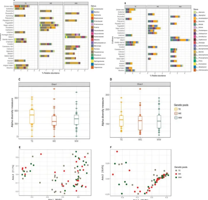 Figure 3. Relative abundances of (A) bacterial and (B) fungal genera present on each cultivar, grouped within their genetic pools (9 cultivars per genetic pool, top 20 taxa, characterized to the genus level and datasets were rariﬁed to 5000 sequence reads 