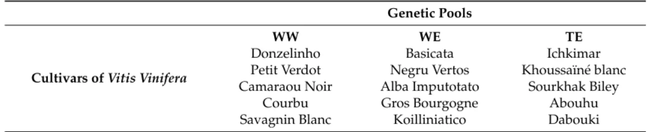 Table 1. Schematic representation of 15 grapevine cultivars (grouped in three genetic pools) that were sampled in Set1.