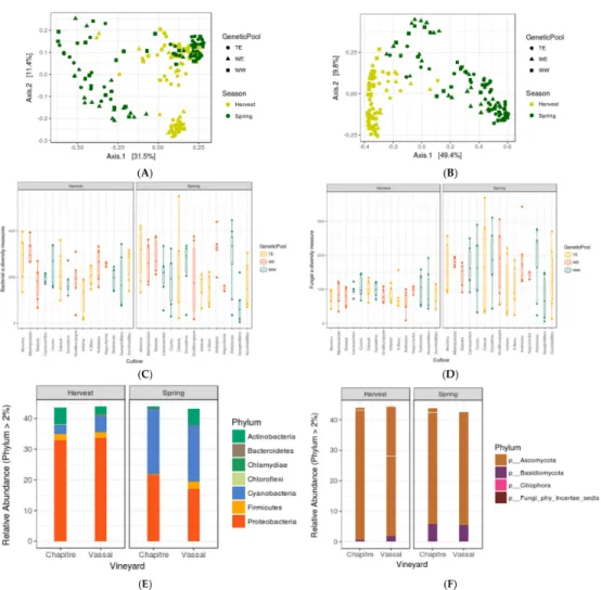 Figure 1. PCoA analysis on leaf data (A,B); PCoA plots representing the compositional dissimilarity in leaf communities (both axis covered >40% of the variation) and Observed (C) bacterial and (D) fungal α-diversity measures of each variety (X-axis) gro