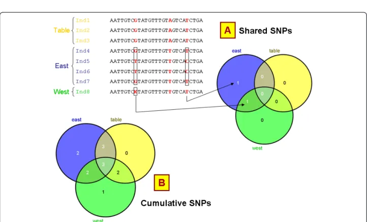 Figure 7 Venn diagrams. SNiPlay reports 2 kinds of Venn diagrams indicating (A) the number of polymorphisms (SNPs + indels) shared between groups and (B) the cumulative number of polymorphisms when combining groups.