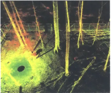 Figure 33 - Artificially  colored  3D  point cloud of a German beech  forest