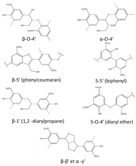 Figure I-10 : Différents types de liaisons présentes dans les polymères de lignine (D’après  Lourenço et Pereira, 2018) 