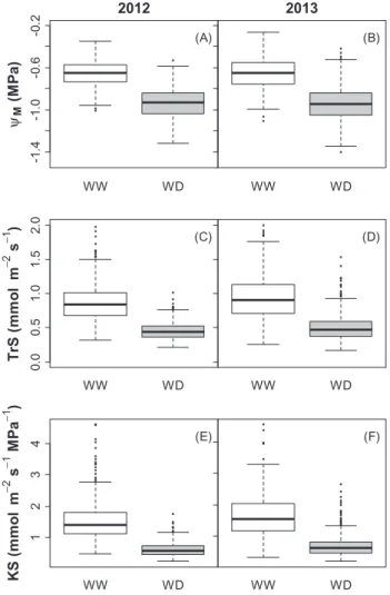Fig. 2.  Boxplots of hydraulic traits measured on each plant of the  Syrah×Grenache mapping population in 2012 (A, C, E) and 2013 (B, D, F),  under well-watered (WW, white boxes) and water deficit (WD, grey boxes)  treatments