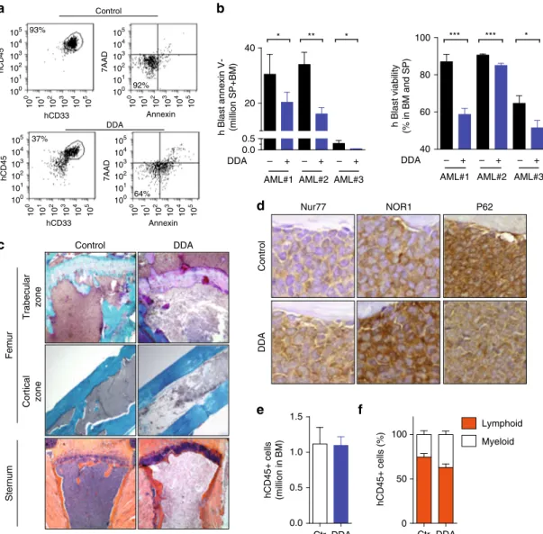 Fig. 8 DDA exerts anti-leukemic activity in vivo in patient AML samples. Primary cells from AML patients were injected i.p