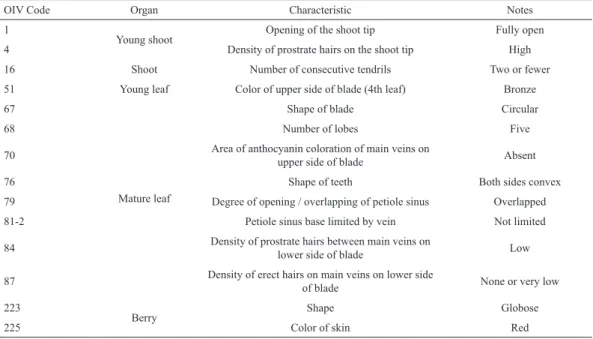 Table 2. Primary OIV descriptor priority list (OIV, 2006), for a quick characterization of the unknown cultivar.