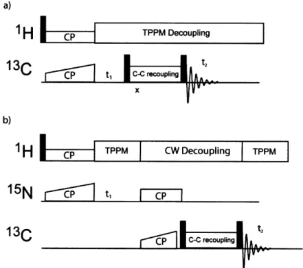 Figure  1-2  a)  Generic  pulse  sequence  for  a  homonuclear  correlation  experiment used  for  intraresidue  resonance  assignment  b) Pulse  sequence  for  a heteronuclear correlation  experiment used  for sequential  assignment