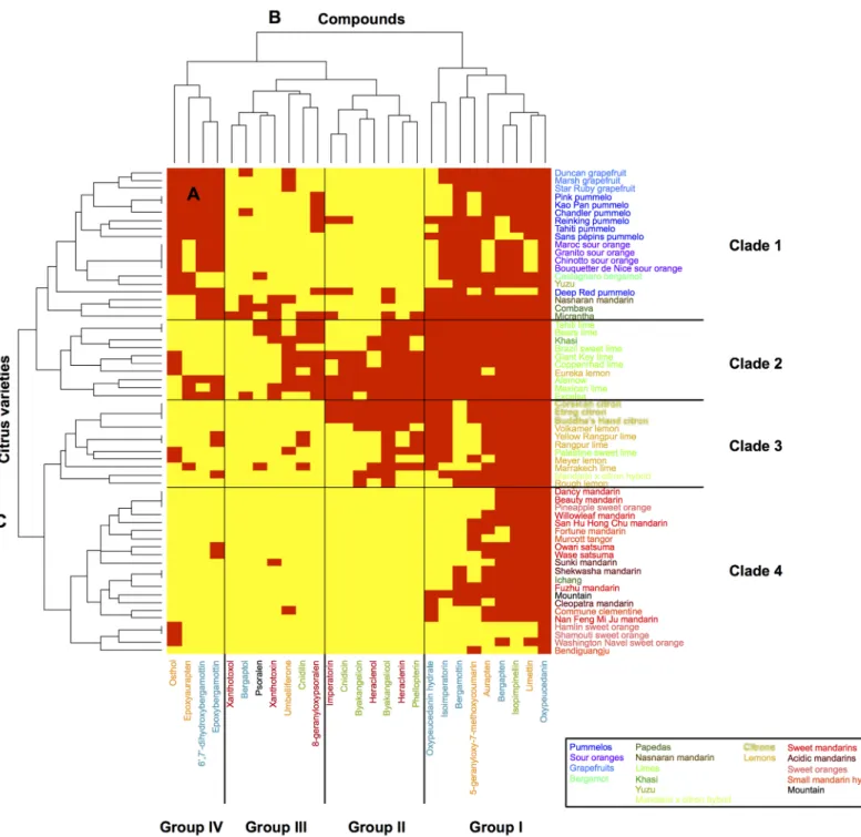 Fig 4. Heatmap displaying the coumarin and furanocoumarin profiles in the peel of the 61 Citrus species investigated