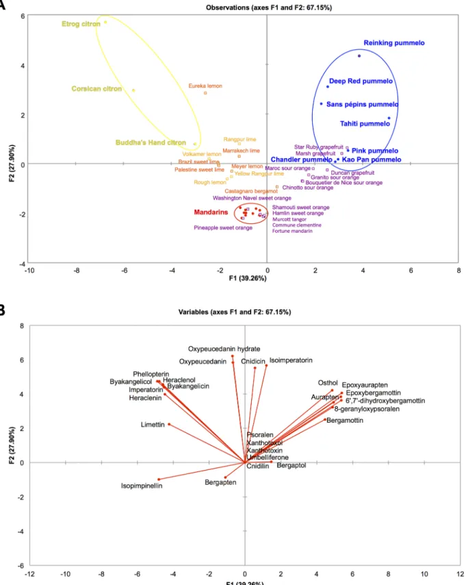 Fig 7. PCA representation of the citrus varieties belonging to the 3 ancestral taxa pummelos, mandarins and citrons and their respective hybrids based on the coumarins and furanocoumarins contents in peel expressed as mg.kg -1 fresh weight