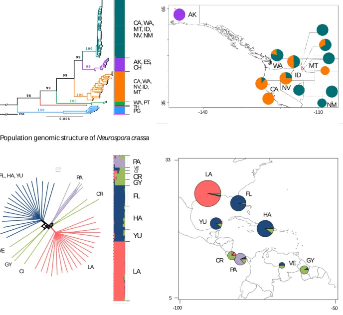 Fig.    3.  (A)  Population  genomic  structure  of  Neurospora  discreta  PS4  as  inferred  from  whole  727 