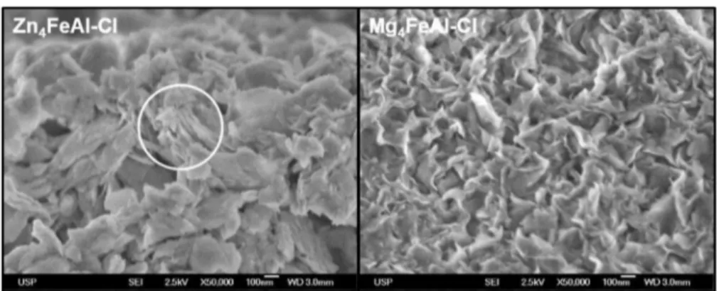 Figure 6. Scanning electron micrographs of Zn 4 FeAl-Cl and Mg 4 FeAl-Cl samples.
