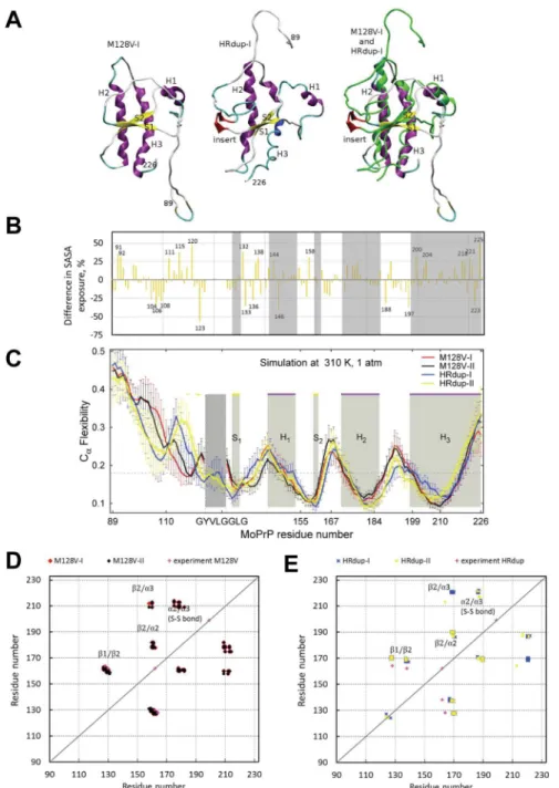 Fig 5. Molecular dynamics assessment of HRdup PrP. A) Representative conformations from 20ns molecular dynamics runs for M128V and HRdup PrP