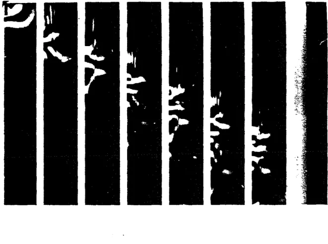 Figure 50: The snapshots for the simple gradient model are shown. The dimen- dimen-sions are the same as for Figure 30.