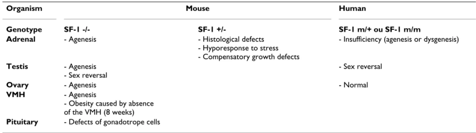 Table 1: Phenotypes resulting from genetic ablation or mutations of the orphan nuclear receptor SF-1.