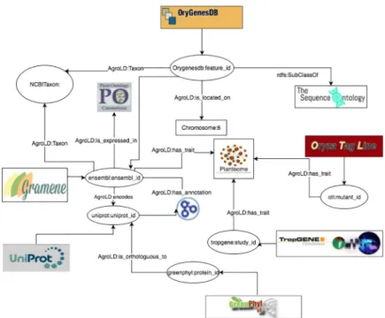 Fig 3. Linking information in AgroLD. The figure illustrates the linking of varies information in AgroLD.