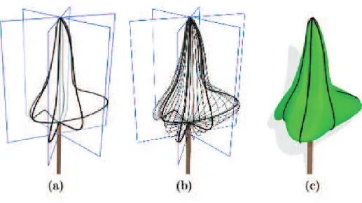 Figure 2.6: Skinned envelope reconstruction. (a) The user deﬁnes a set of planar proﬁles in diﬀerent planes around the z axis