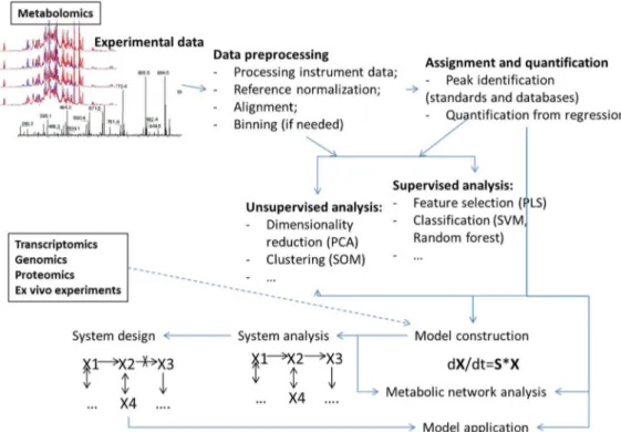 Figure 1. Overview of different data analysis steps in metabolomics and metabolism modeling where machine learning methodologies have found uses.