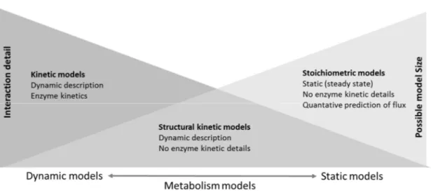Figure 2. Schematic comparison of representative methods for the metabolic pathway and network models including different constraints and approaches to defining metabolic reactions.