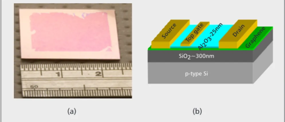 Figure 3. a) Optical micrograph of a CVD-grown graphene layer transferred to a Si substrate (courtesy of Jing Kong's lab at MIT); b) cross-sectional structure of a graphene field effect transistor