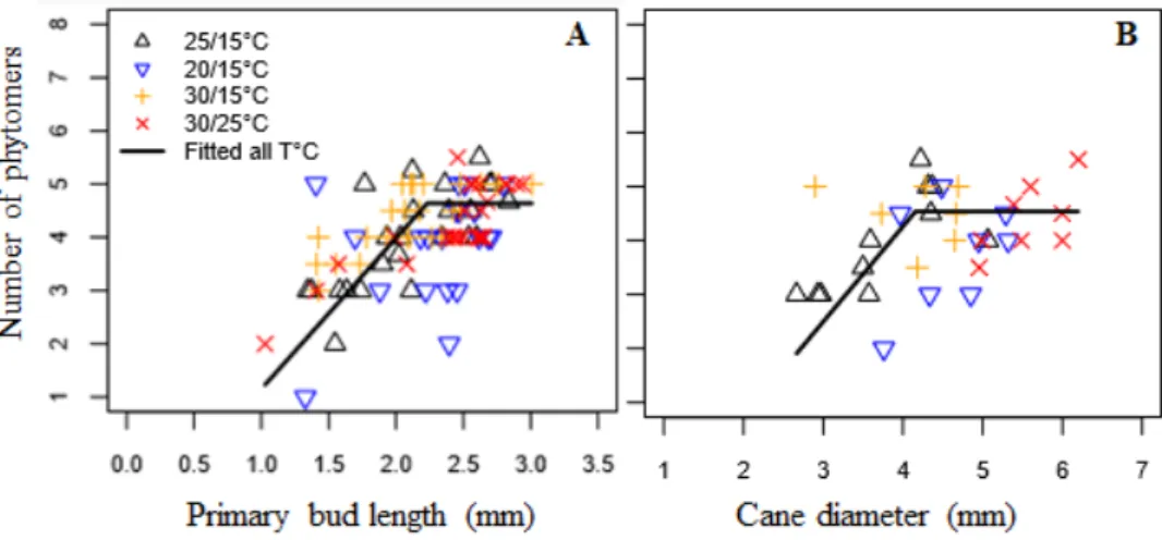 FIGURE 4. # Relation between primary bud length (A) and cane diameter (B)  and the number of preformed phytomers on the bud primordial shoot.