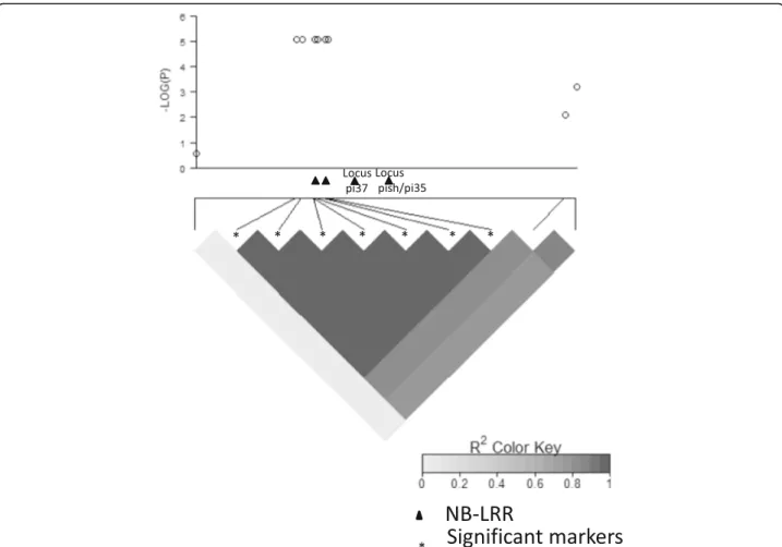 Fig. 5 Manhattan plot and pattern of linkage disequilibrium (LDheatmap) around the Pi35, PI37, Pish cluster of NB-LRR