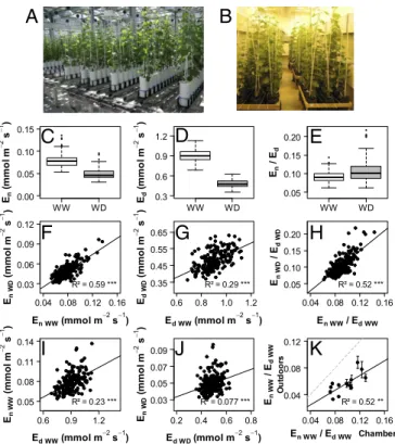 Fig. 1. Genetic variability in transpiration rates measured in the nighttime (E n ) and daytime (E d ) on potted plants of an S × G population