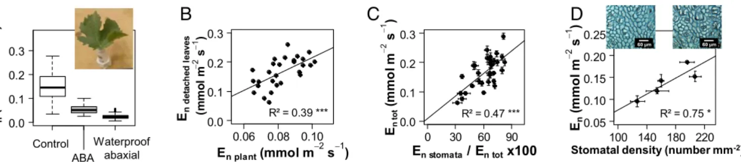 Fig. 2. Genetic variability in nighttime transpiration (E n ) measured on detached leaves subjected to different treatments for a subset of genotypes selected in the S × G population