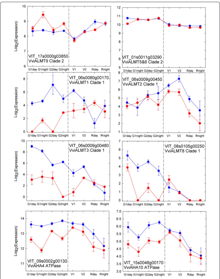 Fig. 8 Expression profiles of malate transporters and selected H + -ATPases