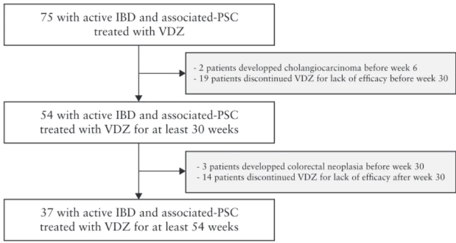 Figure 1.  Flow chart of patient with inflammatory bowel disease with primary sclerosing cholangitis, treated with vedolizumab from Week 0 to Week 54.