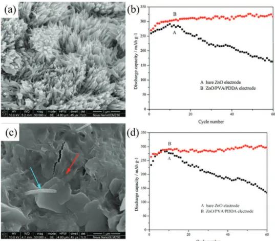 Fig. 13 Images of shape change on Zn electrodes of Zn/NiOOH cells in (a) 31 w/o KOH and (b) 3.5 M KOH + 3.3 M KF