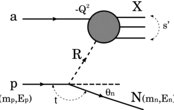 FIG. 1: A schematic diagram of neutron production, pa → nX, for the Reggeon exchange model shown with Lorentz invariant variables s ′ , Q 2 and t