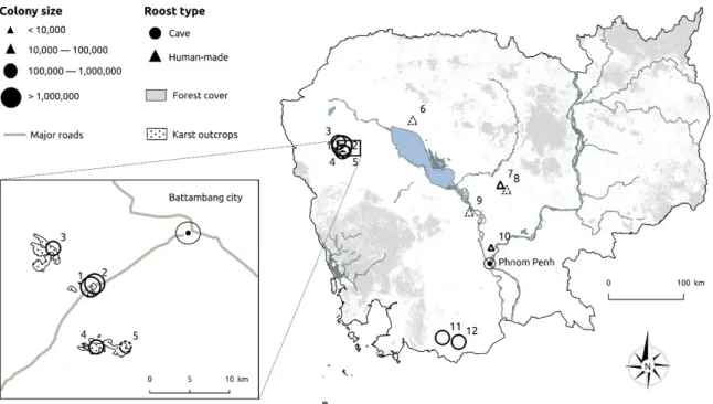 Figure 1. Location of study sites (No. 1 and 4), and other major Chaerephon plicatus colonies in  Cambodia
